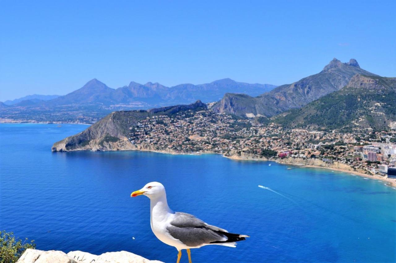 A0831 Calp